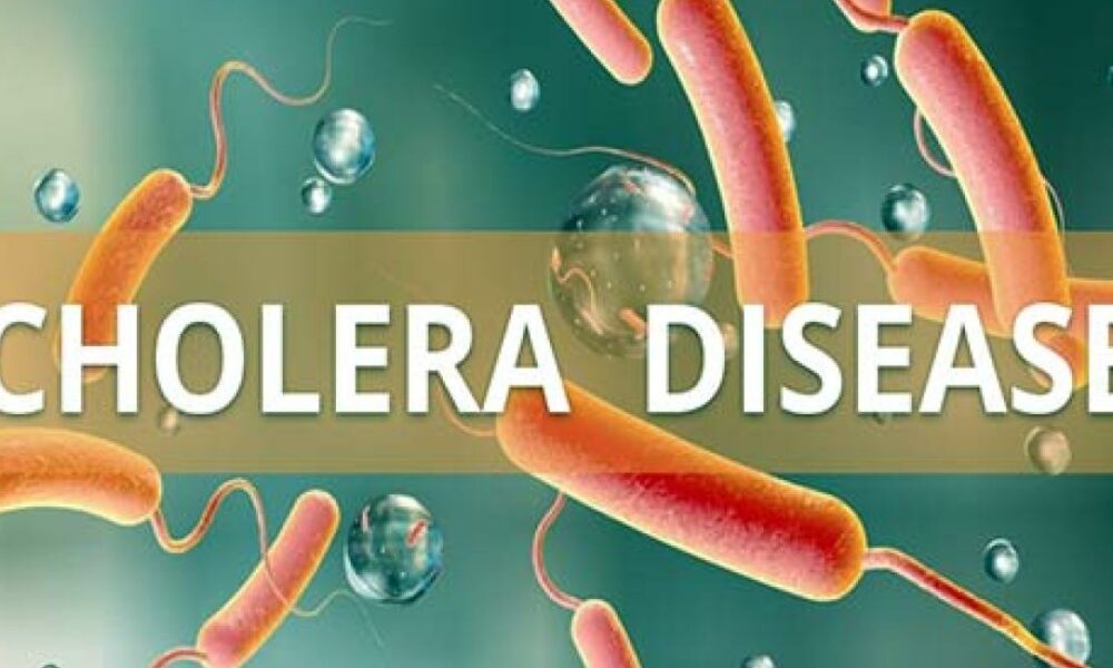 Outbreak of cholera hits nigeria - nigeria newspapers online