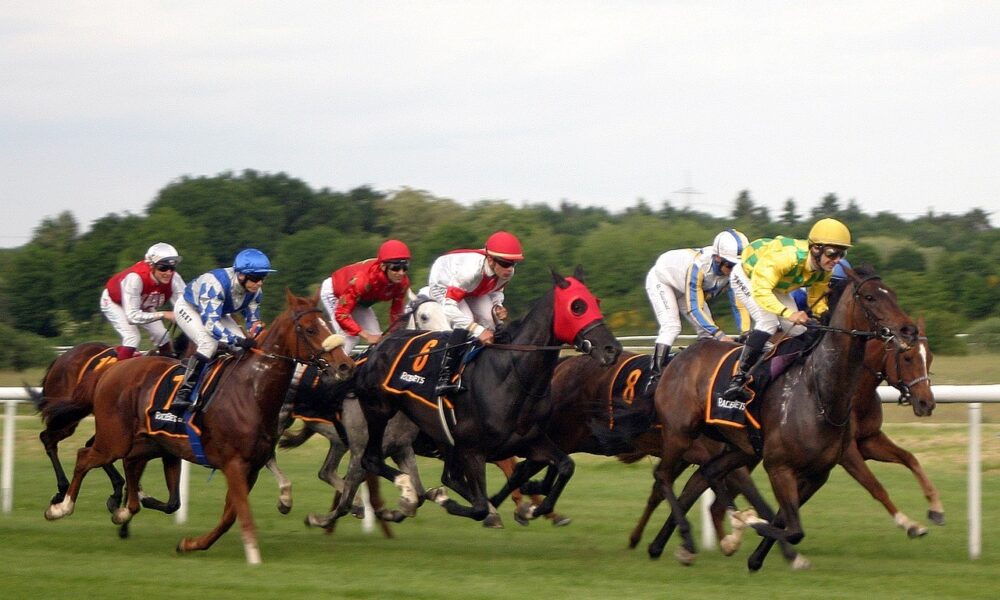 Tinubus horse wins bida horse racing tournament - nigeria newspapers online