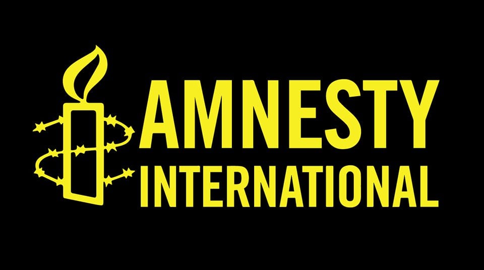 540 killed in 2 months in benue amnesty international - nigeria newspapers online