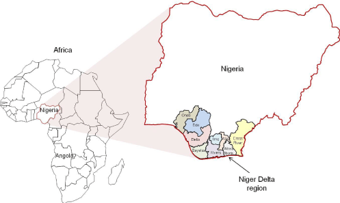 Niger Delta states explore framework for region’s development