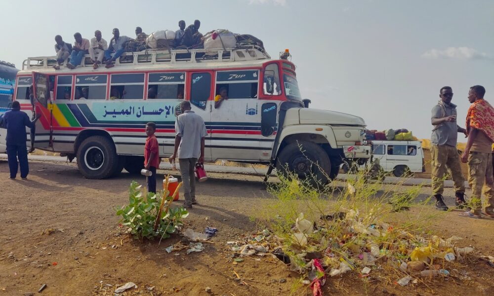 More than 10 million displaced in war-torn Sudan -IOM