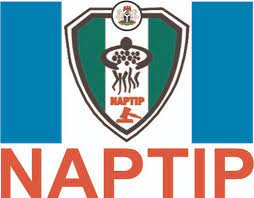 Many orphanages under investigation naptip - nigeria newspapers online