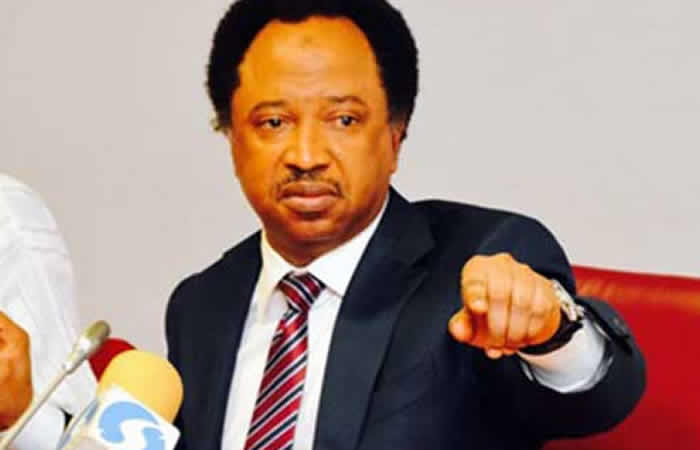 El-rufai not known during june 12 struggle shehu sani - nigeria newspapers online