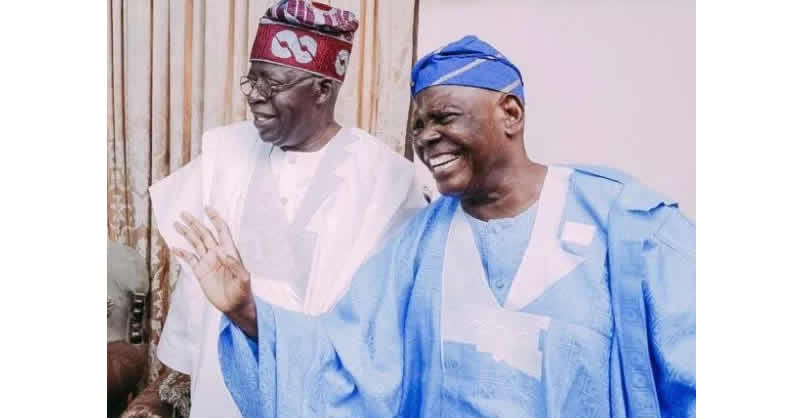 Tinubu appoints akande 559 others into tertiary institutions governing councils - nigeria newspapers online