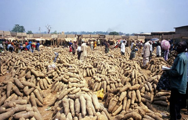 Fg suspends taxes on yam rice other food products - nigeria newspapers online