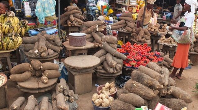 Residents groan as prices of foodstuffs soar in kaduna kano katsina - nigeria newspapers online