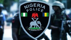 Delta police bar vip escorts vigilantes others from lg poll - nigeria newspapers online