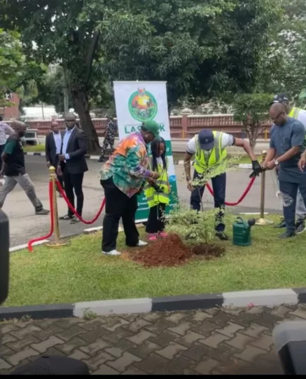 Climate change lagos to plant 5000 trees in one year - nigeria newspapers online