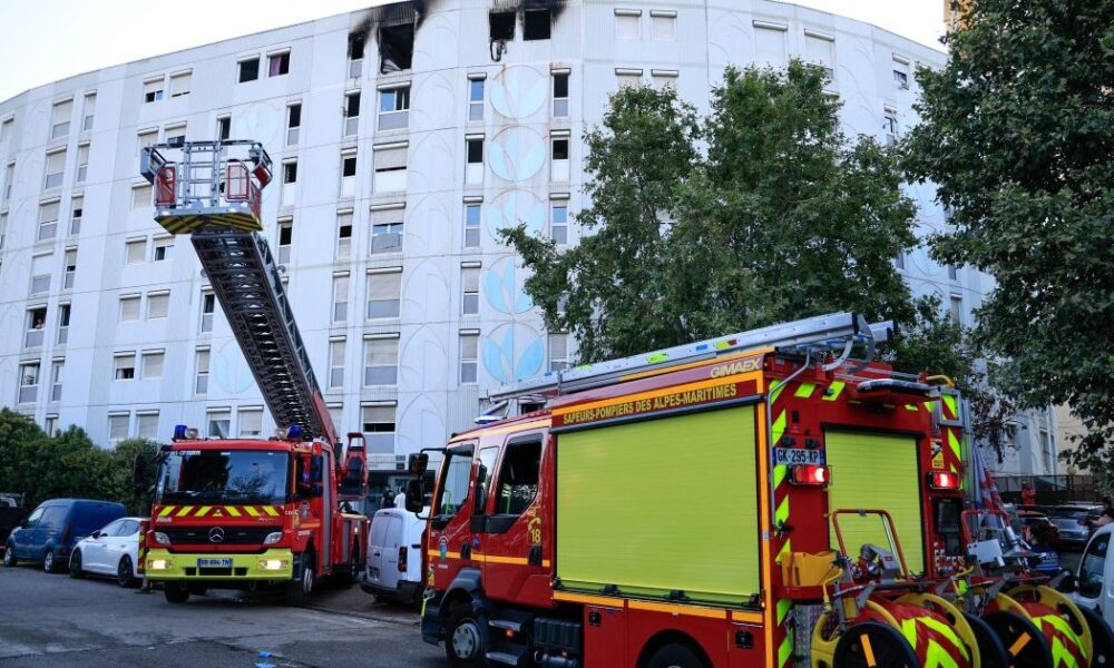 Deadly blaze kills seven in france - nigeria newspapers online