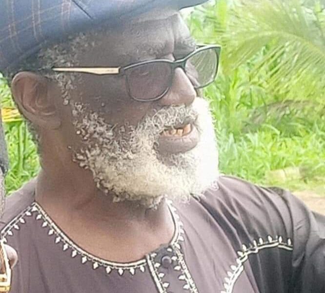 79-year-old abducted in kaduna community - nigeria newspapers online
