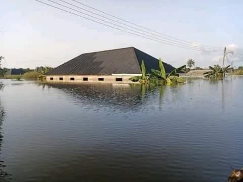 Alert kaduna jigawa delta fg lists states to experience devastating flood - nigeria newspapers online