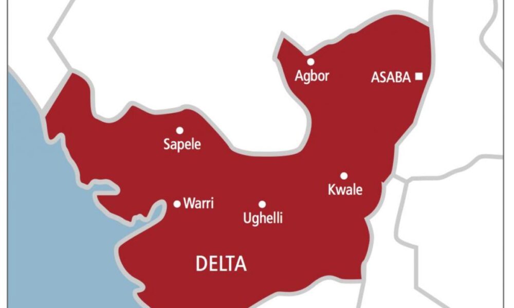 Nef condemns eviction order against northerners in delta - nigeria newspapers online