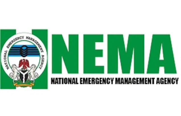 9733 households affected by windstorm in adamawa nema - nigeria newspapers online