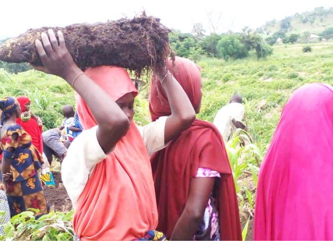 Women youths seek opportunities at agric convention - nigeria newspapers online