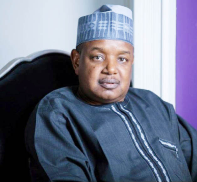 Tinubus renewed hope economic strategy working bagudu - nigeria newspapers online