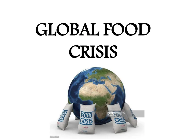 food crisis may last longer than predicted - nigeria newspapers online