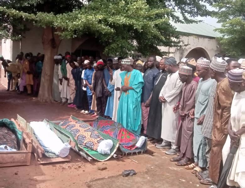 Shock as four persons animals die from electrocution in kaduna - nigeria newspapers online