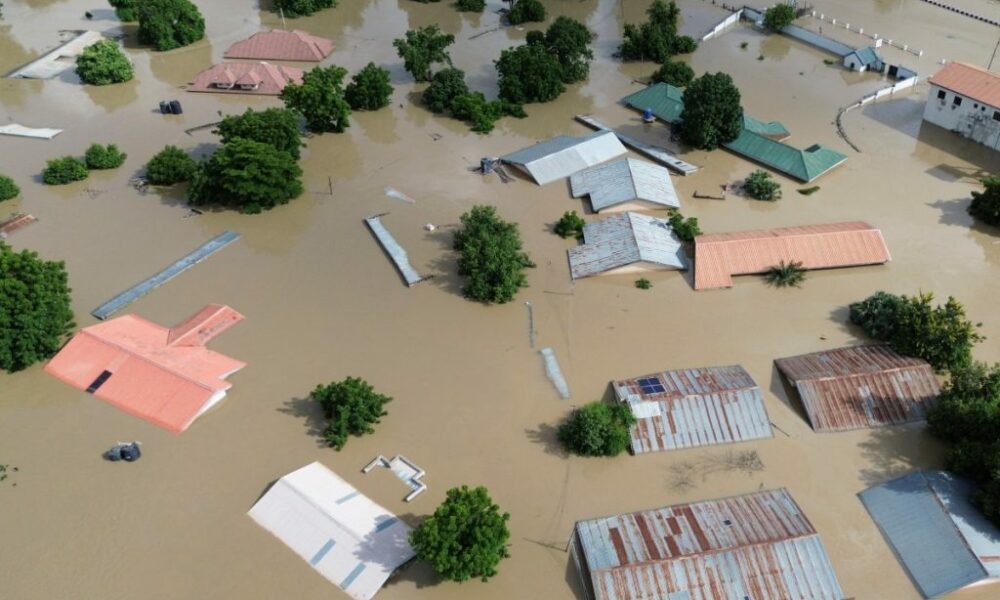 Algon president urges federal action as maiduguri floods devastate lives property - nigeria newspapers online