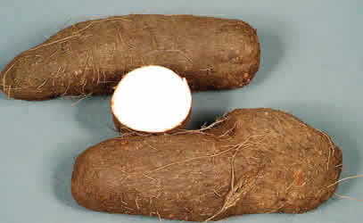 Court jails man six months for stealing three yam tubers - nigeria newspapers online