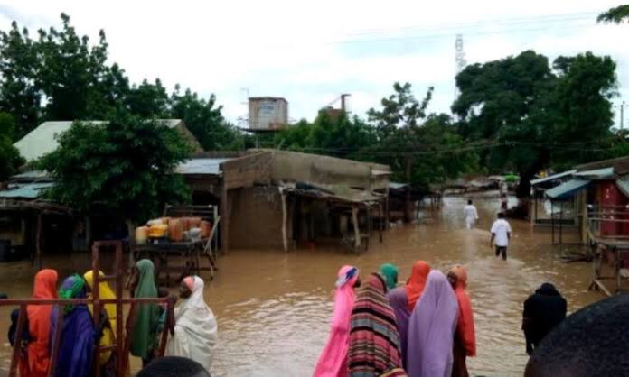 Flood kills 29 destroys 321000 houses 858000 farmlands in kebbi - nigeria newspapers online