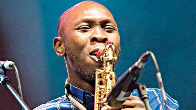 Why i interrogate society in my latest single stand well well seun kuti - nigeria newspapers online