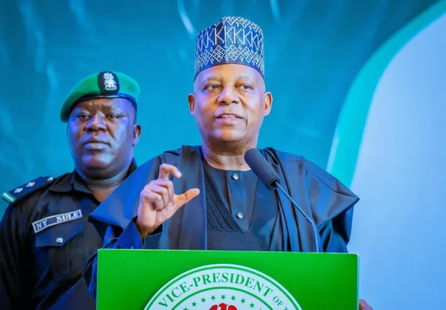 Shettima among world leaders to address un general assembly - nigeria newspapers online