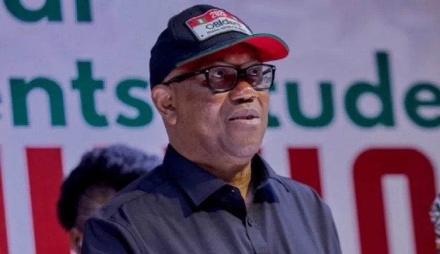 Why afenifere supported peter obi in 2023 - nigeria newspapers online