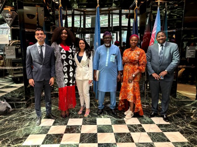 Unga 79 reps committee undp include advocate youth-centric policies in africa - nigeria newspapers online