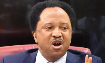 Kwankwaso declared himself messiah shehu sani independent newspaper nigeria - nigeria newspapers online