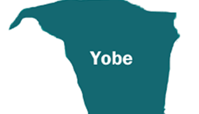 Cholera claims nine lives in five yobe lgas - nigeria newspapers online