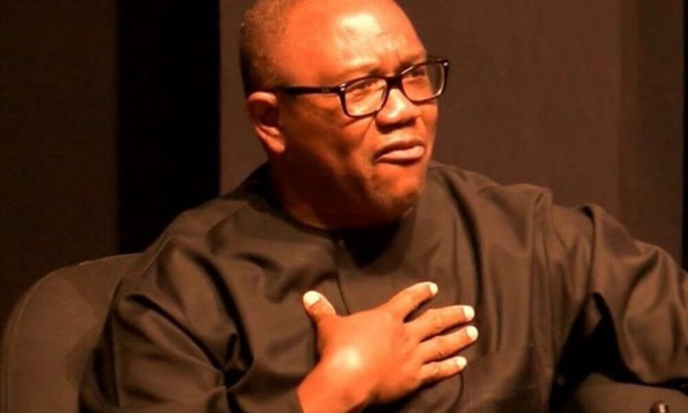 Peter obi replies presidency over donald trump comparison - nigeria newspapers online