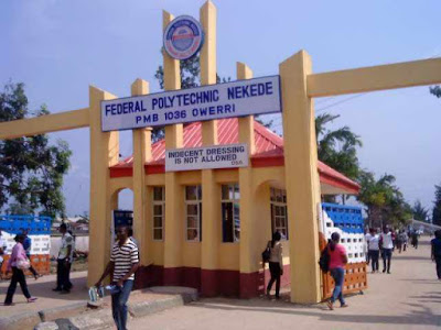 Lawyer threatens to file contempt case against newly appointed rector of fed Poly nekede - nigeria newspapers online