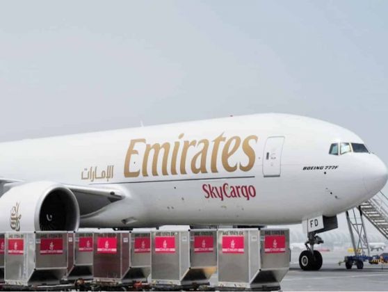 Nigeria uae finalise talks on reciprocal flights for local carriers ahead emirates resumption - nigeria newspapers online