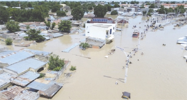 Water level in river benue scary approaching danger level - nigeria newspapers online