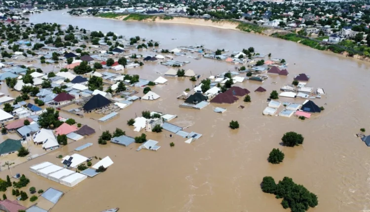 80 animals in maiduguri zoo killed by flood others escaped manager independent newspaper nigeria - nigeria newspapers online