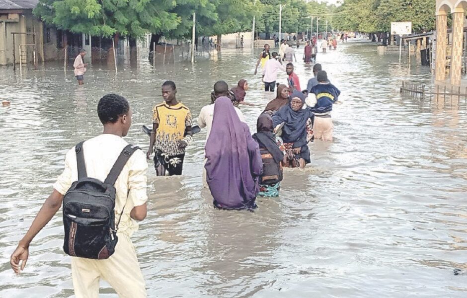 229 killed 386239 displaced 94492 houses affected - nigeria newspapers online