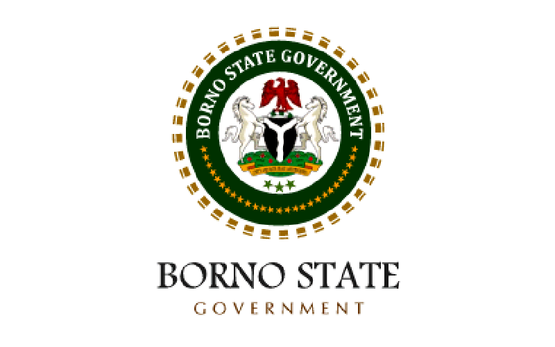 N12 5bn raised for borno flood victims - nigeria newspapers online