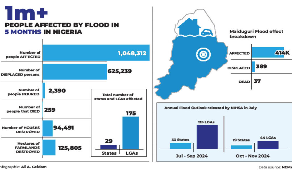 Borno flood my wife 5 kids still missing survivor - nigeria newspapers online