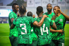 Seagles beat benin republic cheetahs in 2025 afcon qualifier independent newspaper nigeria - nigeria newspapers online