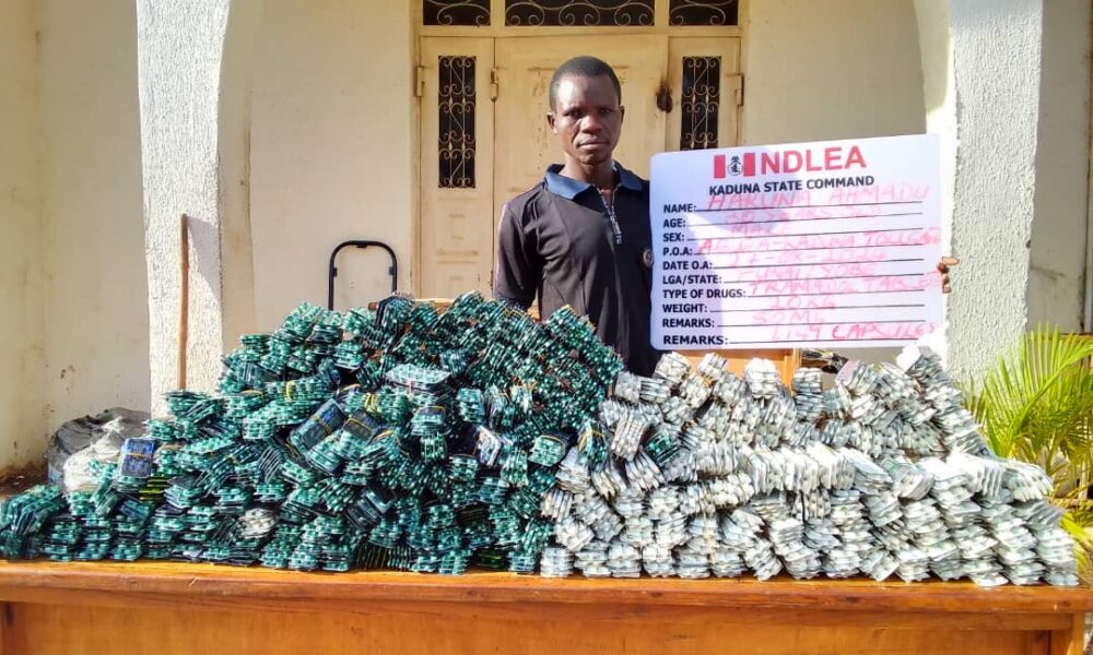 Ndlea impounds n17 9bn drugs at lagos pharcourt ports - nigeria newspapers online