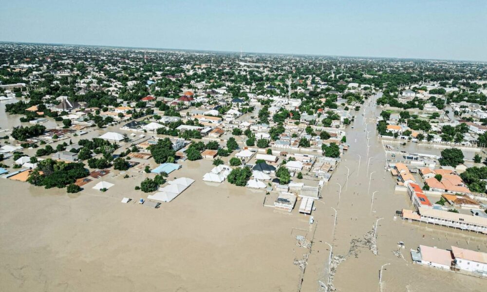 Nigeria daily how maiduguri flood victims can stay healthy - nigeria newspapers online