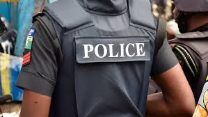 Police arrests 2740 persons in one month independent newspaper nigeria - nigeria newspapers online