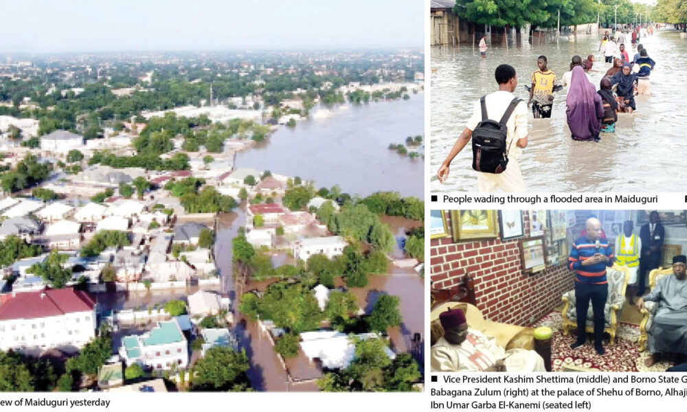 Flooding apc asks fg to tackle humanitarian crises in borno - nigeria newspapers online