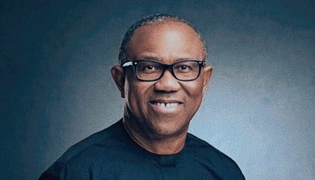 Peter obi denies plans to be vice president in 2027 - nigeria newspapers online