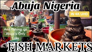 Abuja investment companyto rehabilitate fish market independent newspaper nigeria - nigeria newspapers online