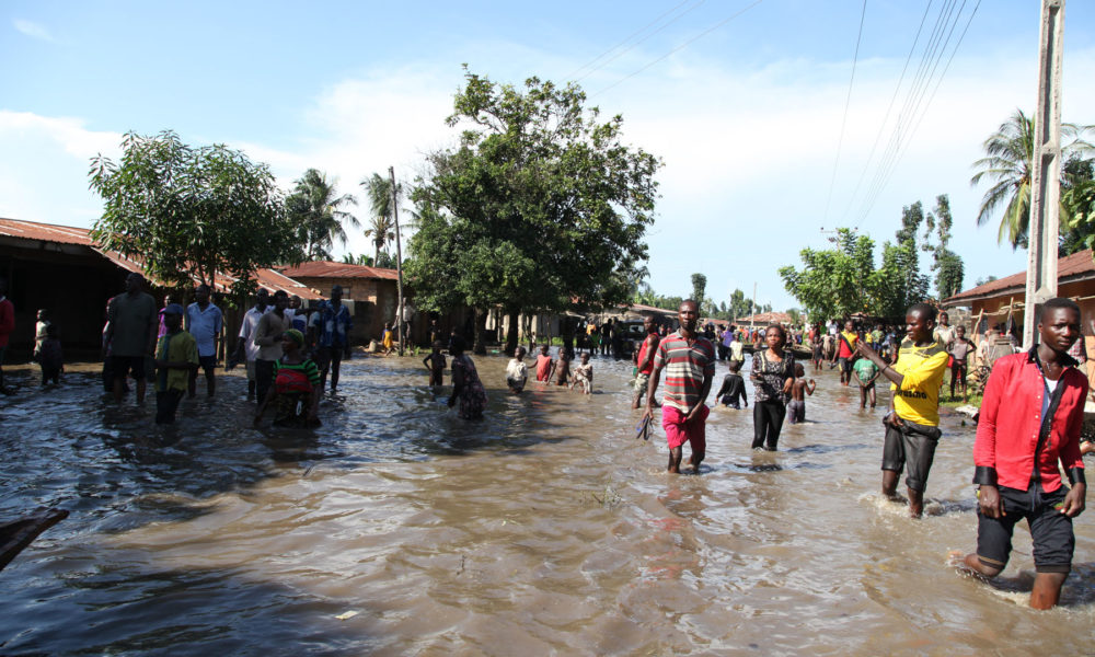 49 killed 226 communities affected in kano floods - nigeria newspapers online