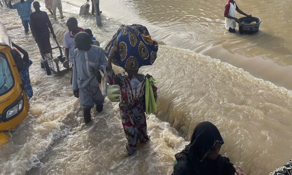 Borno residents begin clean-up fear rises - nigeria newspapers online