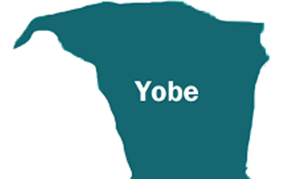 Cholera kills 9 in yobe - nigeria newspapers online