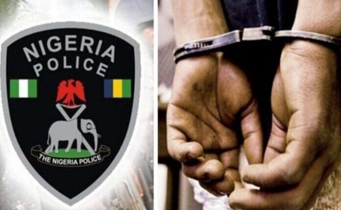 Police arrest 40-year-old ex-convict for alleged kidnapping armed robbery independent newspaper nigeria - nigeria newspapers online