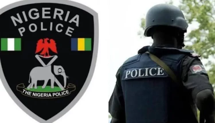 Naija Police Nab 2,740 Individuals Suspected Of Murder, Kidnapping, Others – Independent Newspaper Nigeria